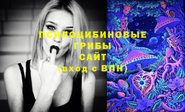 PSILOCYBIN Вязники